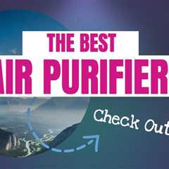 Best Air Purifier Best Air Purifier For Allergies And Pets Must See!