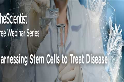 Harnessing Stem Cells to Treat Disease