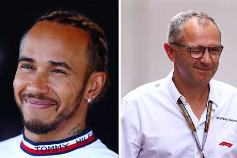  Lewis Hamilton to be granted wish from F1 bosses next year after 29-year wait |  F1 |  Sports 