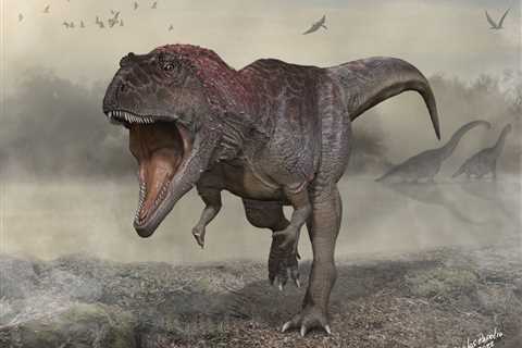 The Dino That Looked T. Rex-y Long Before T. Rex