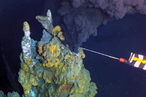 Monster Hydrothermal Field Discovered in The Dark Depths of The East Pacific