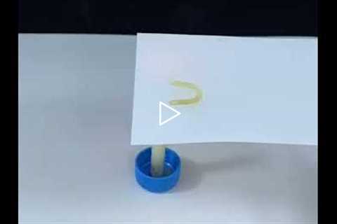 Easy Science Experiments | Amazing Experiments #magictricks #shorts #factistfacts #facts