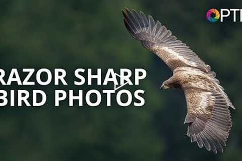 Matt Kloskowski: Fast Action, Razor Sharp Bird Photography | #BHOPTIC