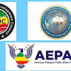 U.S. Based Civic Orgs File Complaint on Individuals Who Conspired to Overthrow Gov’t of Ethiopia –
