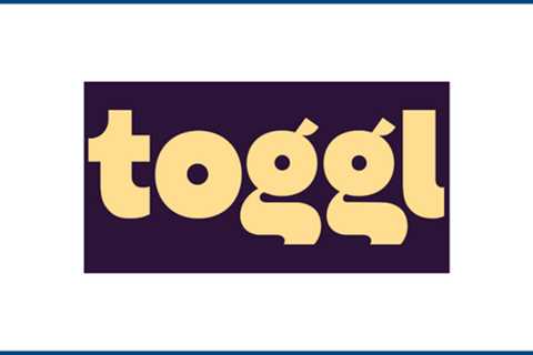 Toggl Plan Review