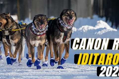 Photographing the 2023 Iditarod with the Canon R7  and Running with the Reindeer !