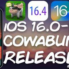iOS 16 - 16.4 Big Jailbreak News: COWABUNGA Lite For iOS 16.2 - 16.4 TWEAKS Without Jailbreak (A12+)