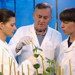 Top Universities and Programs for Food Research and Development Studies
