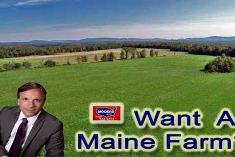 Maine Farm Property | Pasture Fields Woods
