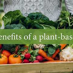 The Surprising Benefits of a Plant-Based Diet