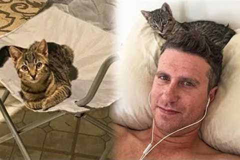 Stray Kitten Sneaks Into a Home To Adopt a Man Living There