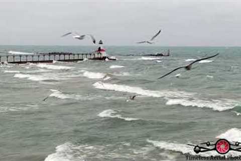 Out Flying With The Seagulls At Michigan City Lighthouse 4K Drone Footage