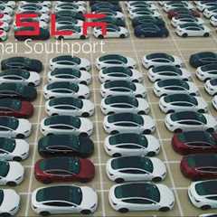 【TESLA】Tesla China bucks the trend and raises prices I Shanghai Southport I 4K