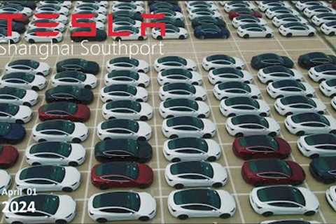 【TESLA】Tesla China bucks the trend and raises prices I Shanghai Southport I 4K