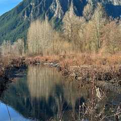 Exploring Transportation Options in King County, WA