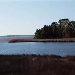 The Importance of Natural Resources in Shaping Property Values in Currituck County, NC