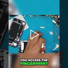 iPhone Home Button: Fingerprint Scanner & Passcode Entry [IPHONE 8] | Sydney CBD Repair