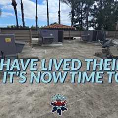 THEY HAVE LIVED THEIR LIVE AND IT''S NOW TIME TO GO