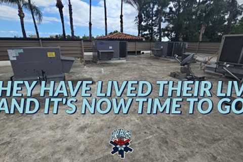THEY HAVE LIVED THEIR LIVE AND IT''S NOW TIME TO GO