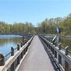 The Ultimate Guide to Obtaining a Handicap Parking Permit in Kent County, Michigan