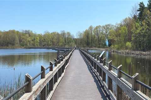 The Ultimate Guide to Obtaining a Handicap Parking Permit in Kent County, Michigan