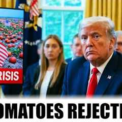 U.S. Tomato Shipments REJECTED — Mexico’s Premium Tomatoes LAND Billion Dollar Deals