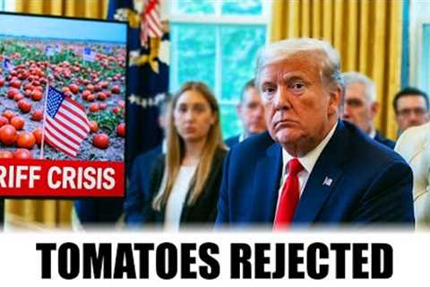 U.S. Tomato Shipments REJECTED — Mexico’s Premium Tomatoes LAND Billion Dollar Deals