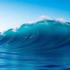 Explore Wave Browser: Surf the Web While Saving Oceans