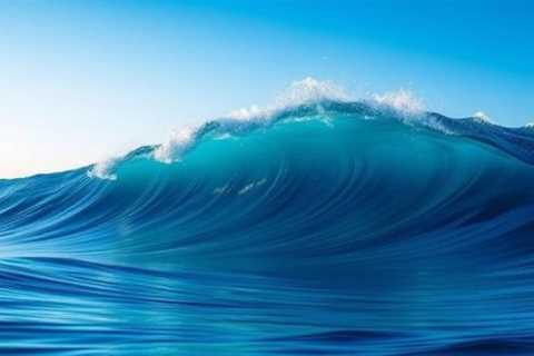 Explore Wave Browser: Surf the Web While Saving Oceans