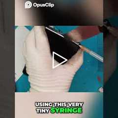 DIY Screen Replacement: Careful Removal Technique! | Sydney CBD Repair Centre