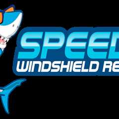 Vegasino Casino live casino : expérience immersive garantie